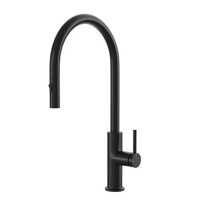 ZARA Pull-Out Kitchen Mixer Matte Black