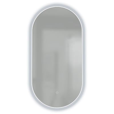 DELRAY Oval LED Edge Mirror with Demister 600x900mm