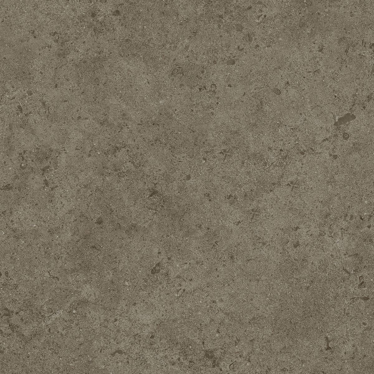 MOCHA 12mm Sintered Stone Vanity Top Suit Hob Mixer 605mm