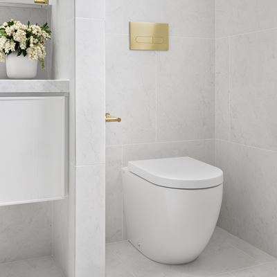 OLLIE Push Plate for Pneumatic Cistern 236x152mm Champagne Gold