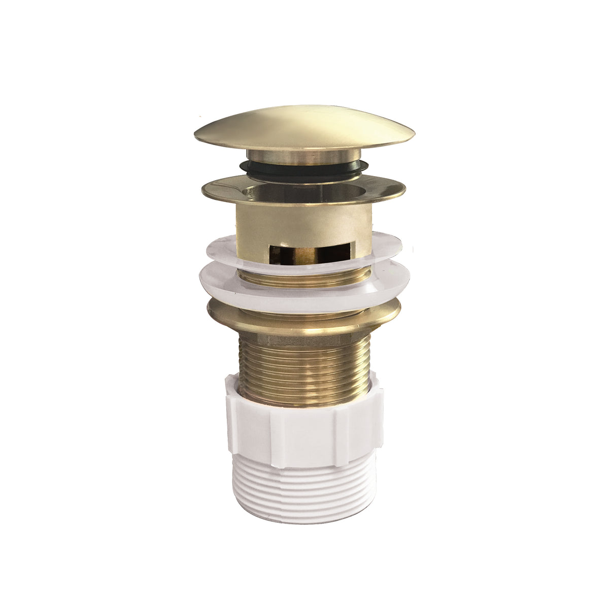 DOME POP UP Waste with Overflow Brushed Brass 32x80mm