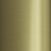 Brushed Champagne Gold