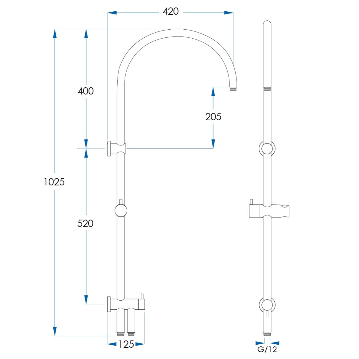 ELEMENTS Gooseneck Shower Rail with External Water Inlet Gunmetal