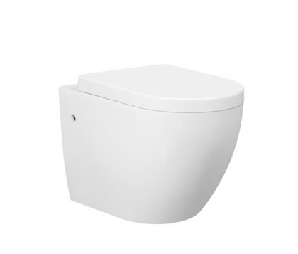 Vista Rimless Floor Pan Toilet