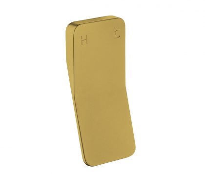 EVOKE In Wall Mixer Angled Handle Brushed Brass