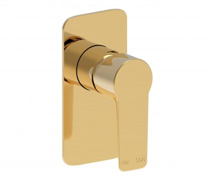 In Wall Mixer Set Brushed Brass
